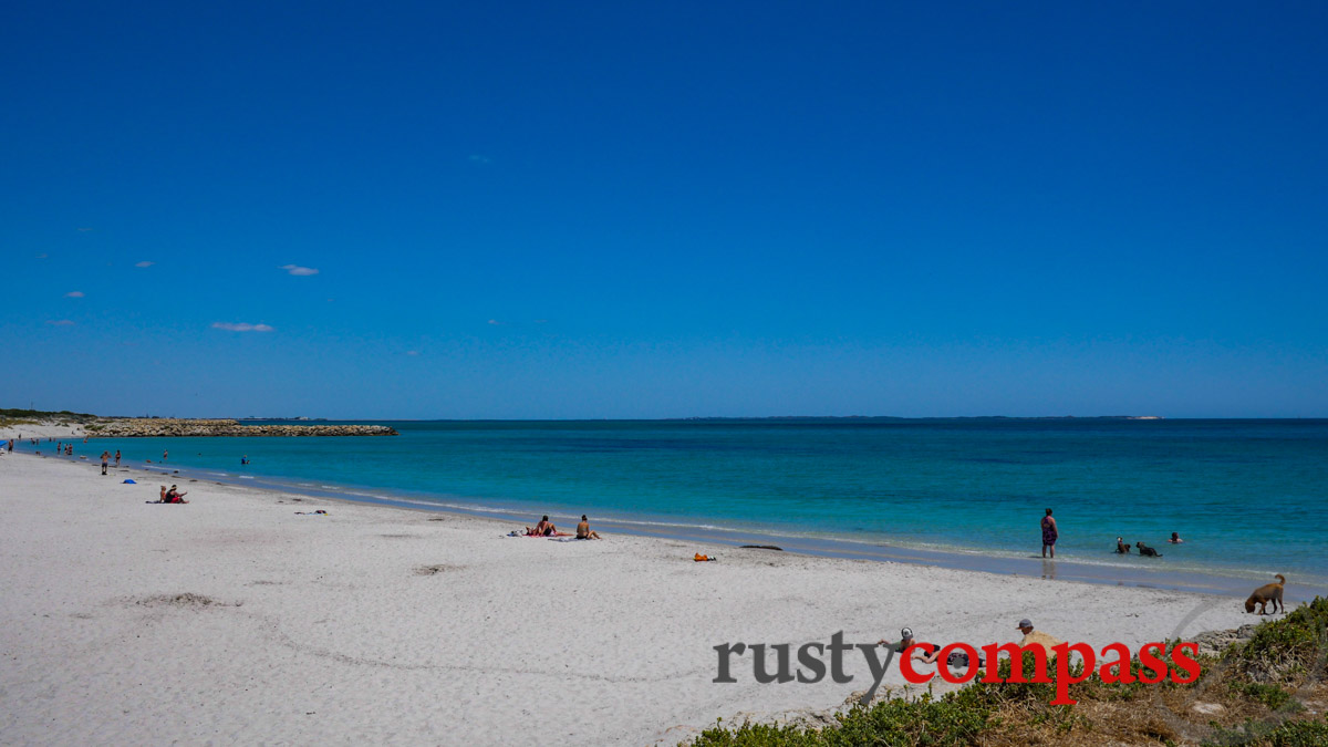 Indian Ocean life - Fremantle Western Australia